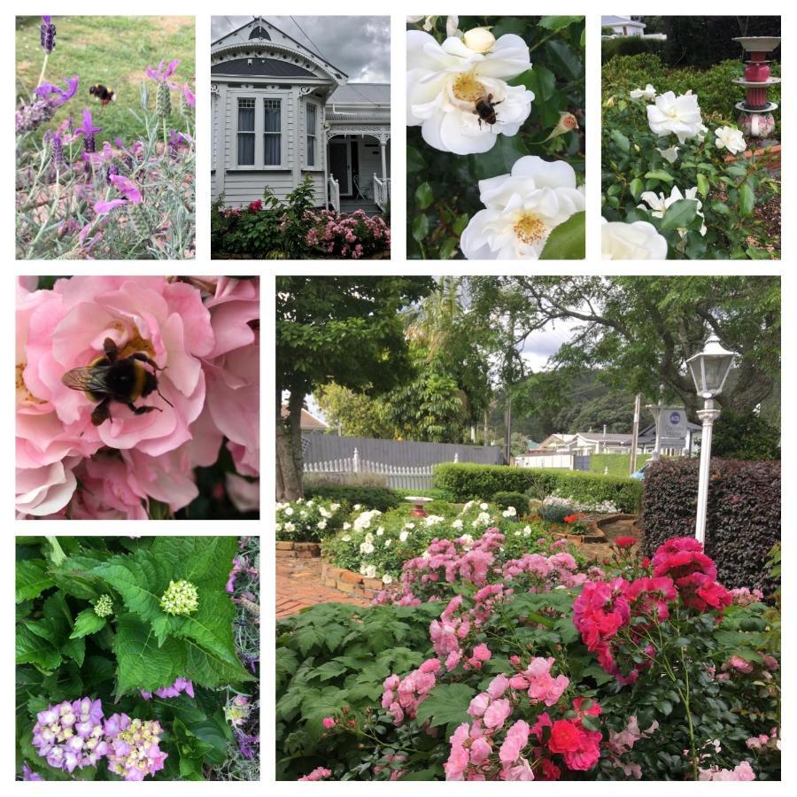 เชลซีเฮาส์ เบดแอนด์เบรคฟาสต์ Bed & Breakfast วานกาไร ภายนอก รูปภาพ